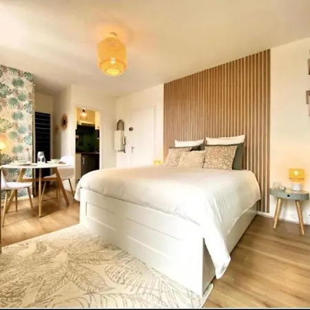 Apartamento Le Boheme Tourisme Repos Business A Toulouse Exterior foto